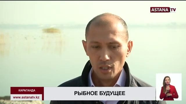 В Карагандинской области разрешат ловить ценную рыбу бесплатно смотреть онлайн