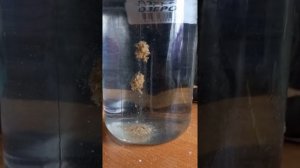 Тесто для херабуны. Рецепт в описании.