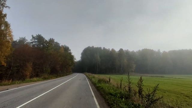 ВЕЛОПОХОД ОСЕНЬЮ , река Волчья . Кабаны смотреть онлайн