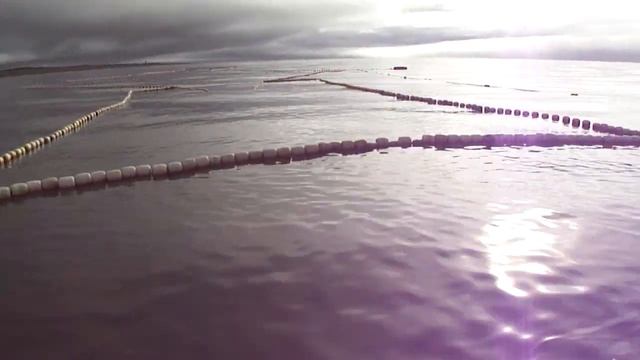 Ставной невод в деле смотреть онлайн
