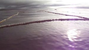 Ставной невод в деле