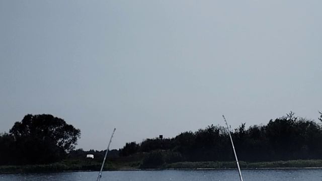 Поклевка леща