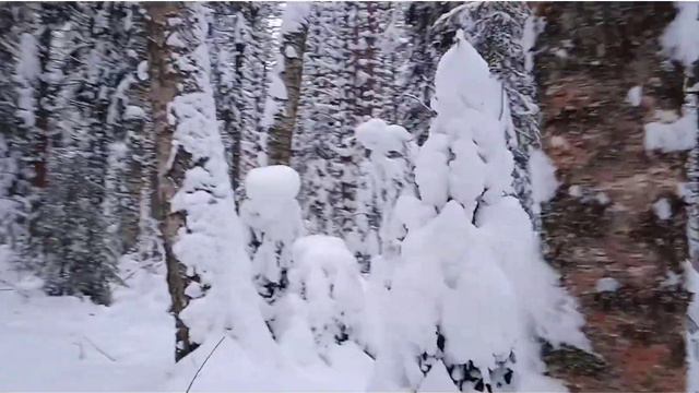 Встала на лыжи спустя 30 лет. смотреть онлайн