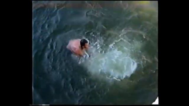 О челябинском зоопарке смотреть онлайн