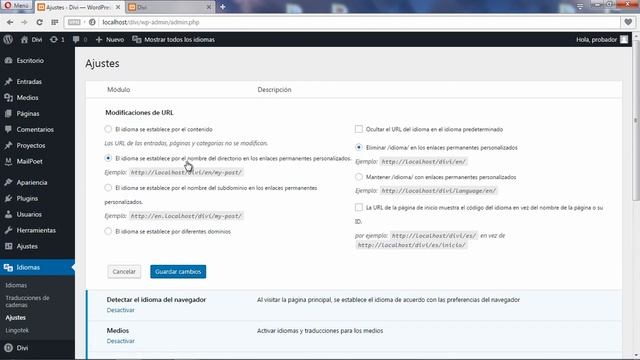 Crear una web multilingüe gratis en WordPress con Polylang - Tutorial (1/3) смотреть онлайн