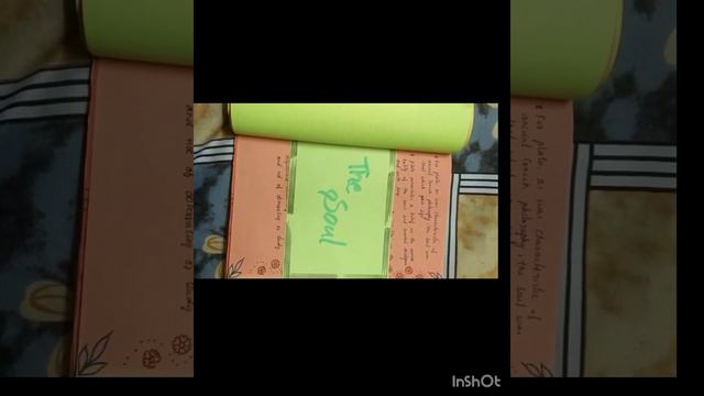 Plato biography Album project work ( B ed) 1st semester #educationalvideo #education #plato #histor смотреть онлайн