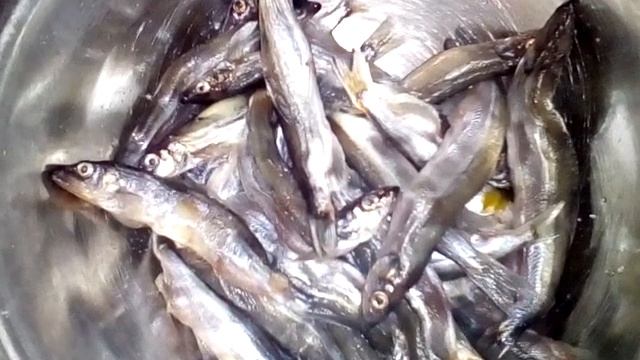 Вкусные рецепты