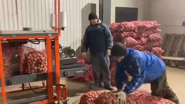 Местную картошку и морковь закупили для социальных магазинов смотреть онлайн