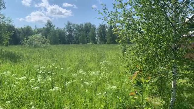 Видео Мерзлово 1165 смотреть онлайн