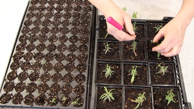 Влоги с Путешествиями