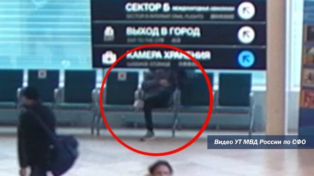 В аэропорту Толмачево транспортные полицейские раскрыли кражу мобильного телефона у пассажира смотреть онлайн