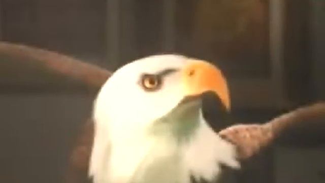 Отдых и туризм Китай, Сучжоу China, Suzhou 001 смотреть онлайн