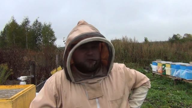 Итоги сезона 2022! Следуй за мечтой! Куда продал мед! Пробуйте, никого не слушайте! смотреть онлайн