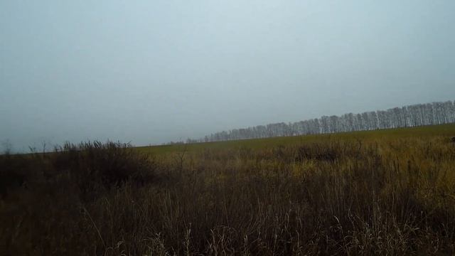 Охота на зайца 26 11 22 Сердобский р-н.Пензенская обл. смотреть онлайн