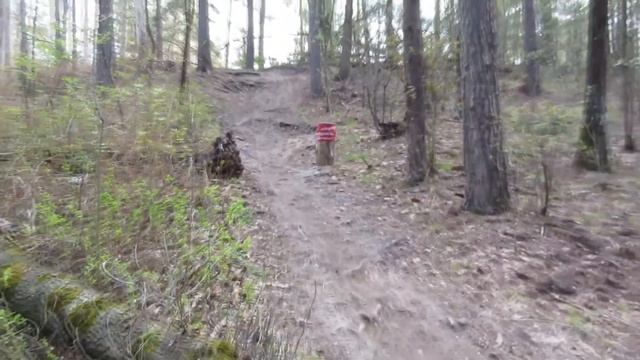 Редбайк Весенний Винегрет.