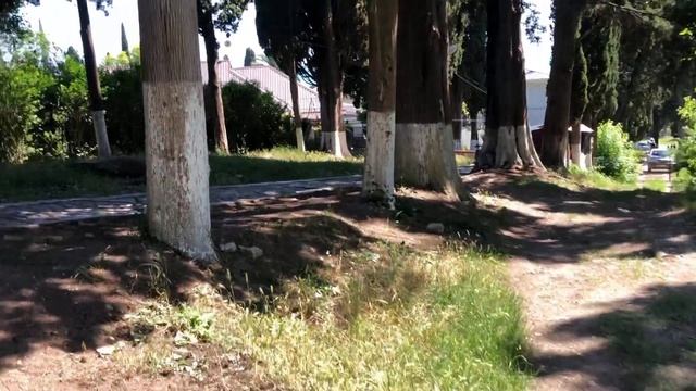 Мужской монастырь в Новом Афоне/ Абхазия/ сувенирный рынок/абхазскийчай/ пробуем МУЖмалу смотреть онлайн