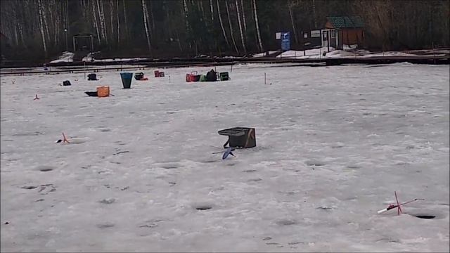 На запуске актив, после запуска стационарные снасти. Нижний пруд. Клёвое место Лосиный остров. смотреть онлайн