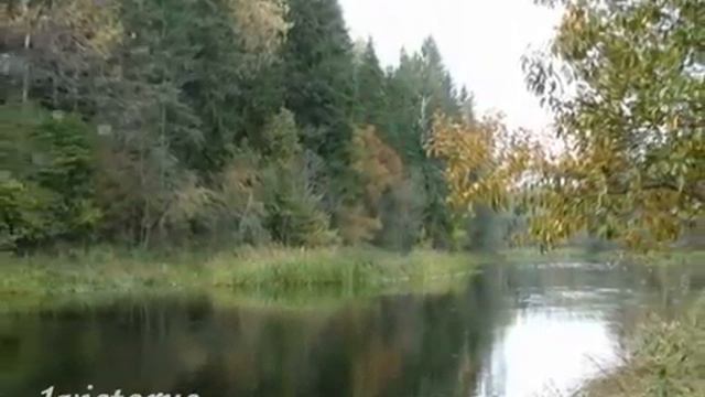 Лес за рекой - Wood for river смотреть онлайн
