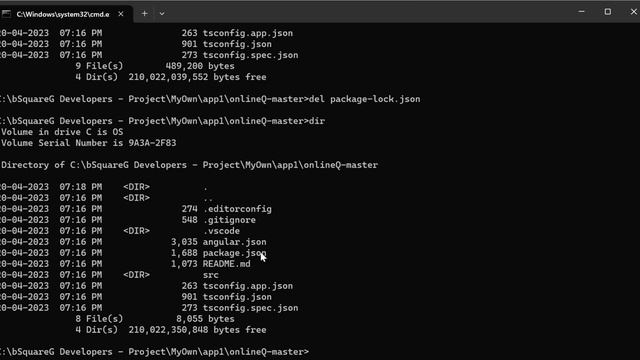 Angular conflicting versions of packages in your dependencies смотреть онлайн