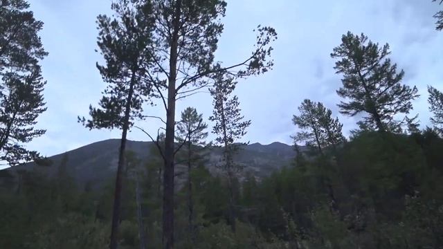 Рыбалка в Разливе на Речке Ангаракан с батей ловим Хариус 2019 Часть 1. смотреть онлайн