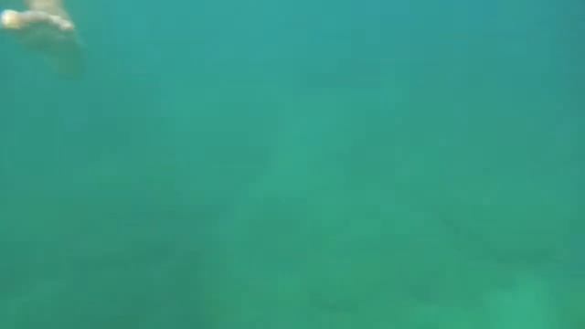 GIORNATA AL MARE nikon aw100 смотреть онлайн