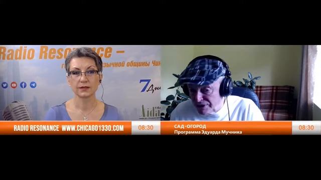 Дача в Америке. Почему в США запрещено выращивать черную смородину? Сад-огород (Chicago, IL). смотреть онлайн