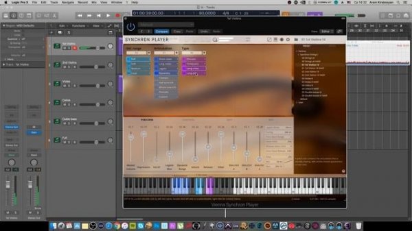Vienna Symphonic Library Synchron Strings I [Арам Киракосян]