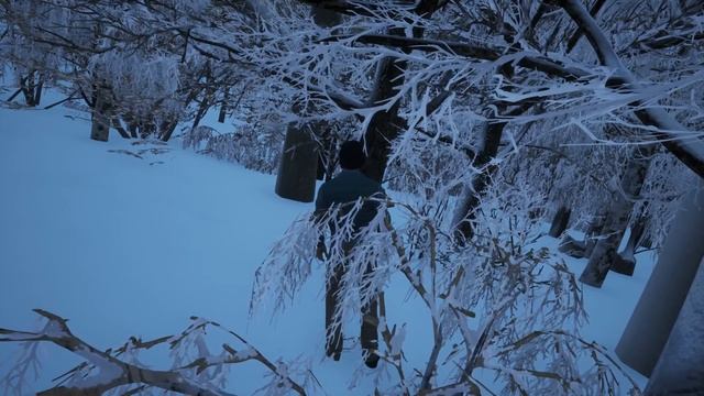 Went Hiking, Got Mauled By a Bear - Hiking Simulator 2018 смотреть онлайн