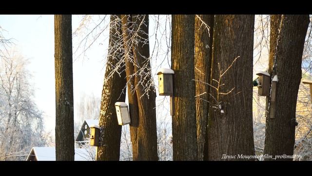 КОСТРОМА ЗИМНЯЯ смотреть онлайн