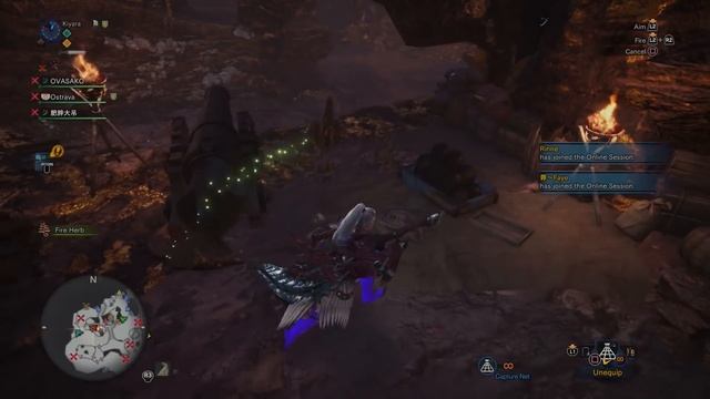 ALL NEW ENDEMIC LIFE / PETS from Kulve Taroth SIEGE (Caverns of El Dorado) - Monster Hunter World смотреть онлайн