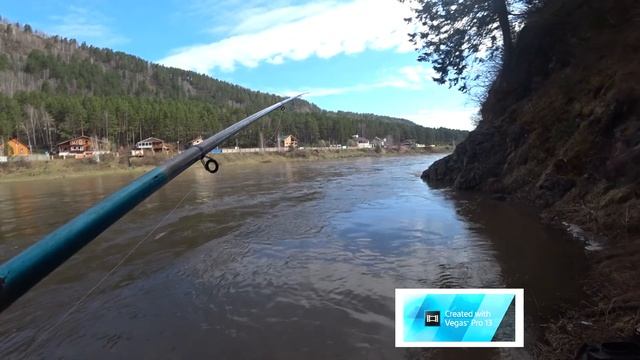 Нарвался на клев ельца по мутной воде. смотреть онлайн