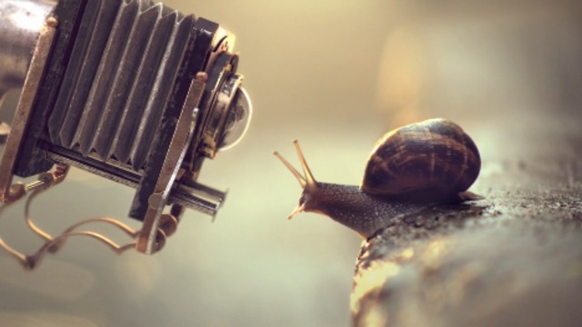 Canal Odisea смотреть онлайн