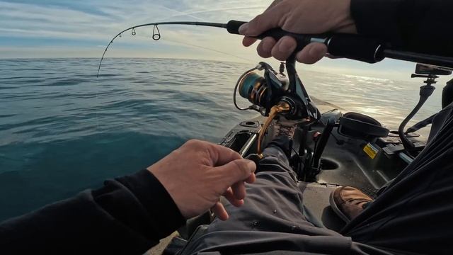 Esta TECNOLOGÍA lo cambia TODO [Tip Run / EGING y Micro Jigging desde KAYAK] | Lured Vlog 303 смотреть онлайн