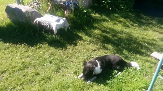 Это ж какое надо иметь терпение!!!