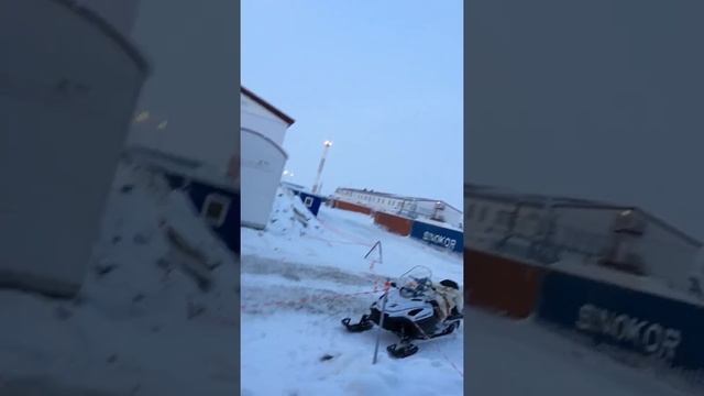 Ненцы приехали заварить фаркоп на своем коне смотреть онлайн