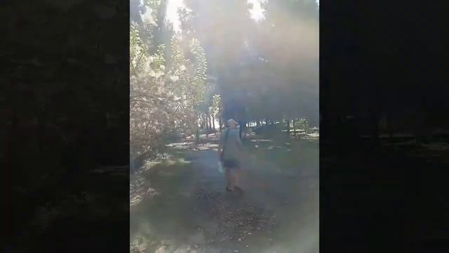 Жилье у моря. Абхазия 2019 Квартира в Пицунде ???⛱ Пицунда мюссерский заповедник смотреть онлайн