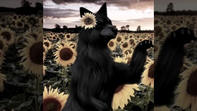 ×wcmv× leave the city [vent] смотреть онлайн