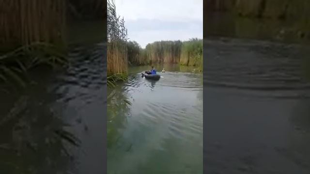 Ловля рыбы на пеликана смотреть онлайн