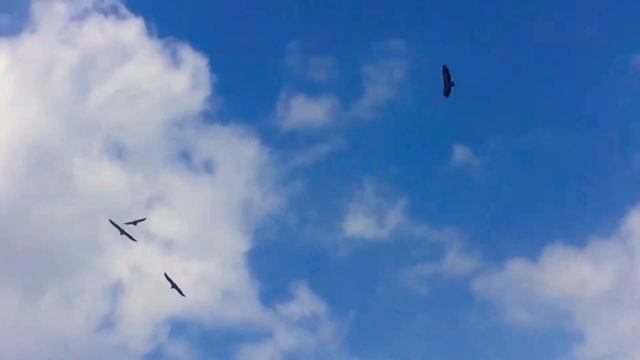 Вид на Миатлинскую ГЭС-пос.Дубки смотреть онлайн