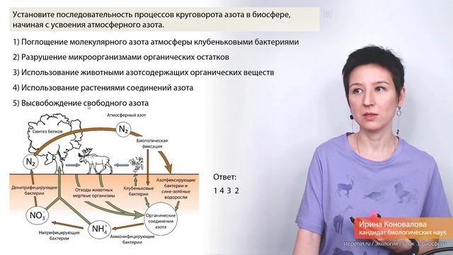 3. Биосфера | Экология | БИОЛОГИЯ ЕГЭ смотреть онлайн