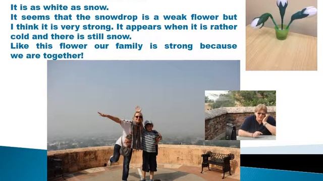 Проект "Планета Земля - наш общий дом" смотреть онлайн