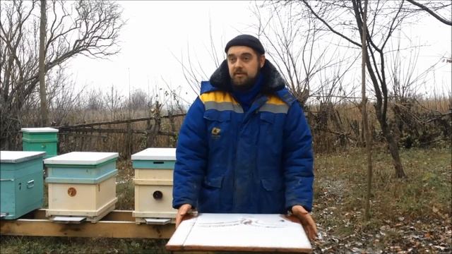 За сколько продавать мед? Почему он стоит дешево? Ценообразование на мед. Куда девать мед? Крик душ смотреть онлайн