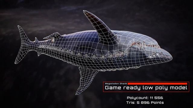 Megalodon Shark 3D Model - Game-Ready Low Poly Animated Ocean Predator Asset