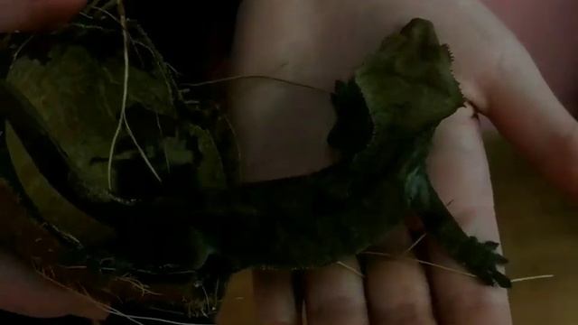 Экологический календарь HD смотреть онлайн