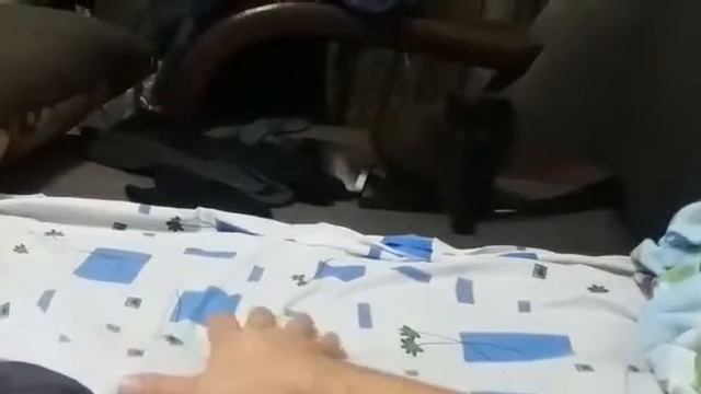 Моя любовь Тимоха: подобрали, принесли, отмыли :D смотреть онлайн