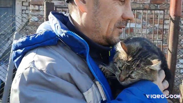 29 февраля. Переселение перепелов. Наши будни. смотреть онлайн