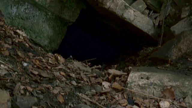 Древние окаменелости на горе Сан-Джорджио / Швейцария смотреть онлайн