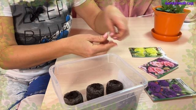 Выращиваем ЭУСТОМУ смотреть онлайн