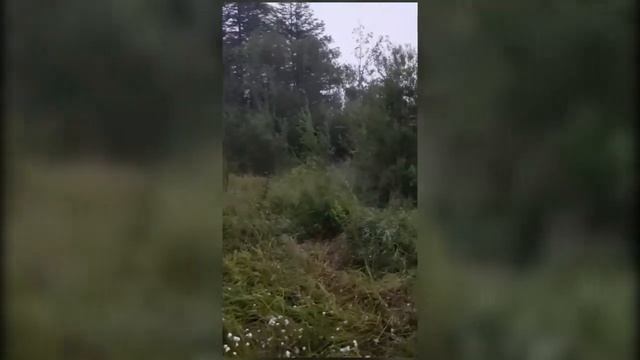 ТЕМНАЯ СТЕЗЯ 1 ПОЧЕМУ ВЕДЬМЫ И КОЛДУНЫ НЕ ЗАВОДЯТ ДЕТЕЙ / Тимофей Зимовец #МАГИЯ#КОЛДОВСТВО#MOSCOW смотреть онлайн