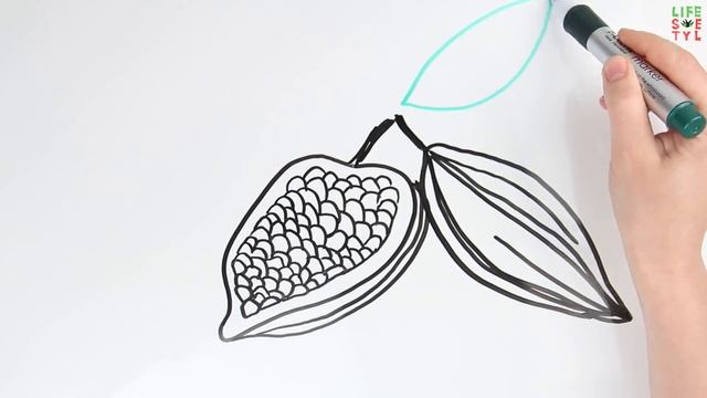 Что будет, если мы убьем всех комаров? смотреть онлайн